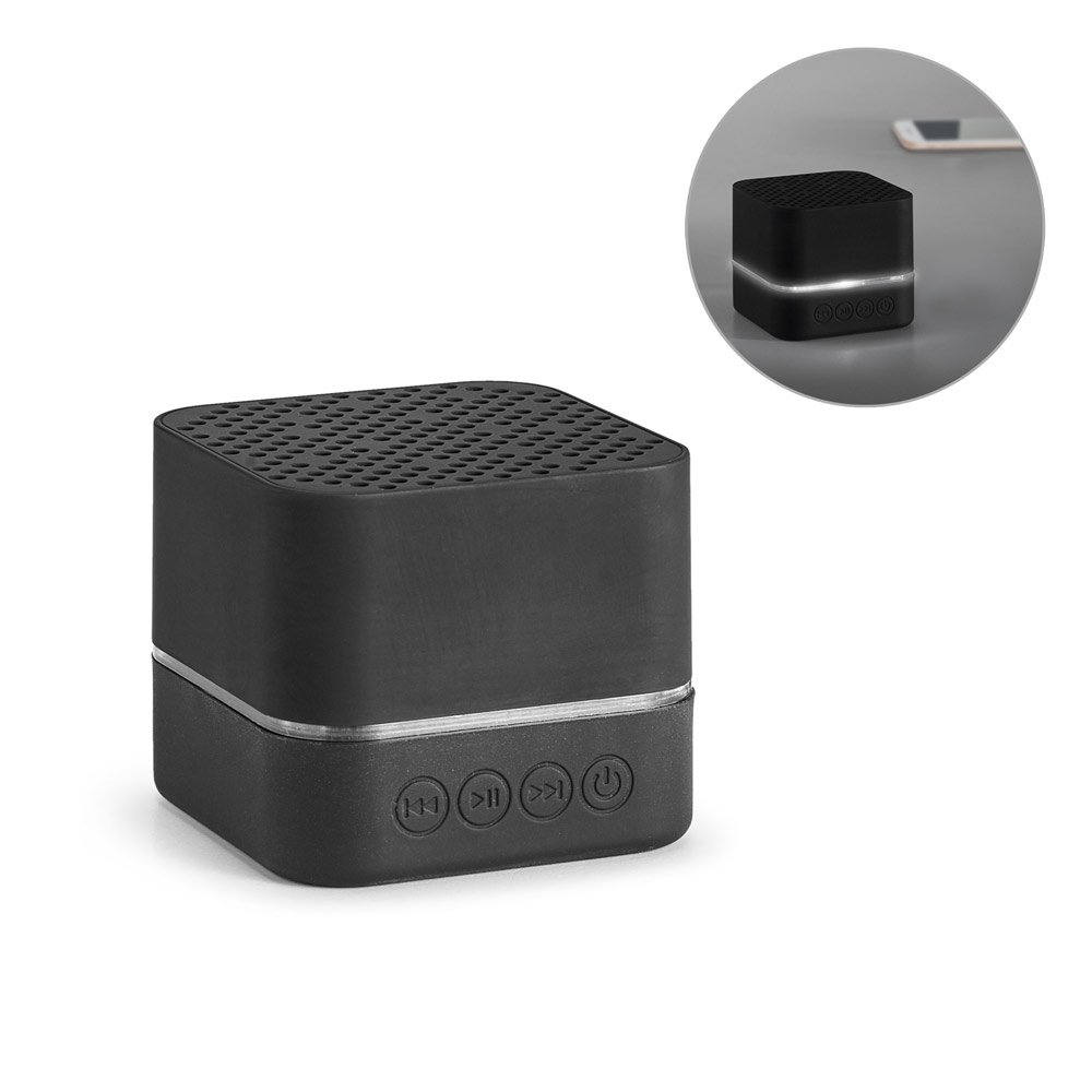 edison portable speaker